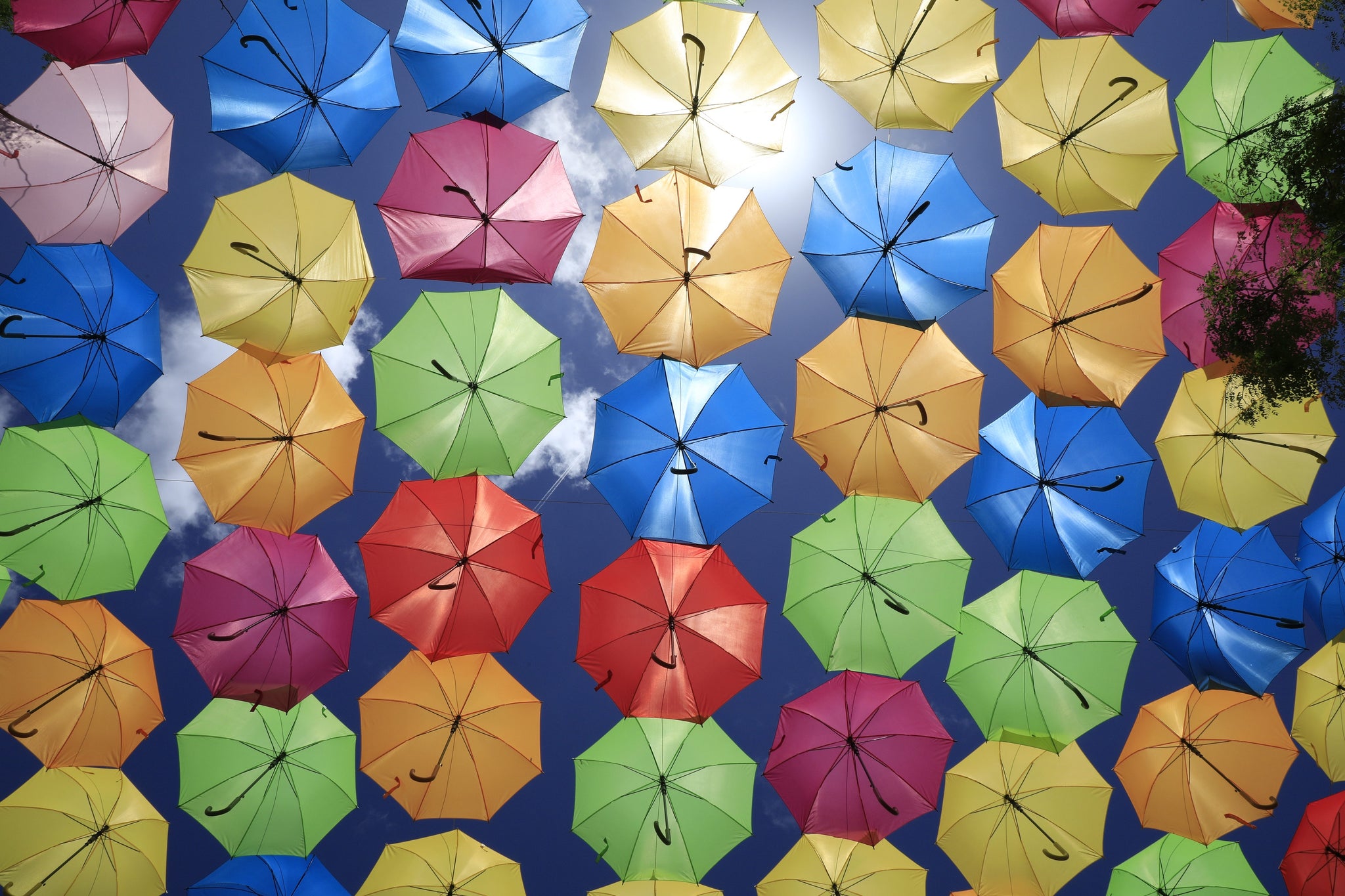 Gables Umbrellas - Fine Art Print
