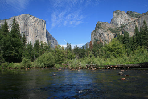 Yosemite Bottom - Fine Art Print