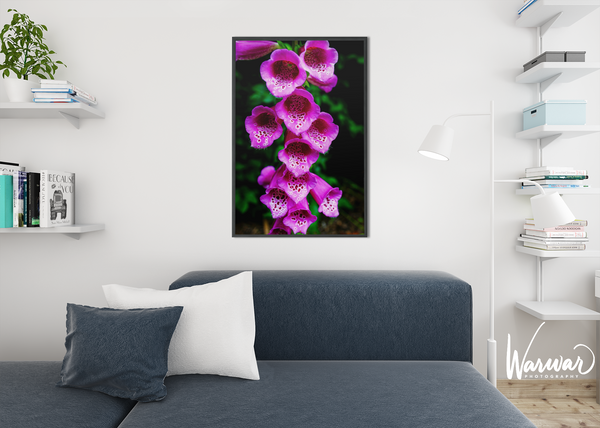 Pink Bell Flowers - Fine Art Print