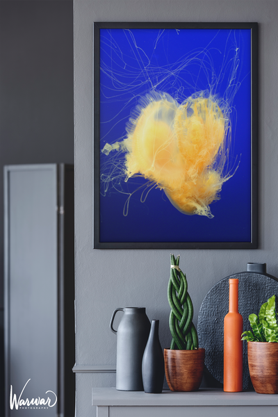 Jelly Fish Y1 - Fine Art Print