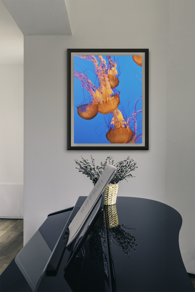 Jelly Fish O1 - Fine Art Print
