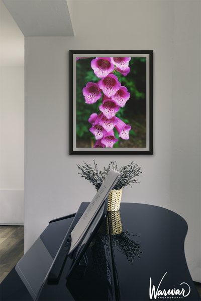Pink Bell Flowers - Fine Art Print