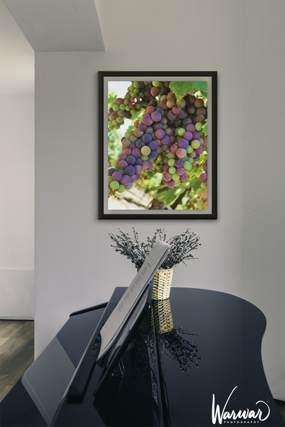 Grapes SF2 - Fine Art Print