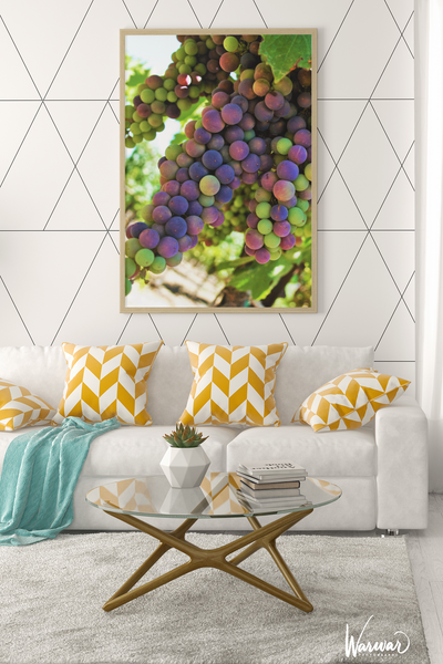 Grapes SF2 - Fine Art Print